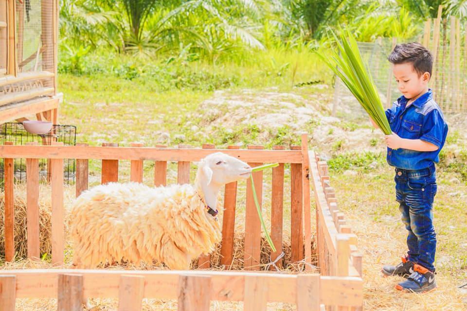 ไร่นาบัวหลวง คาเฟ่ & ฟาร์มสเตย์ Raina Bualuang Cafe & Farm Stay Ban Na No Ngoại thất bức ảnh