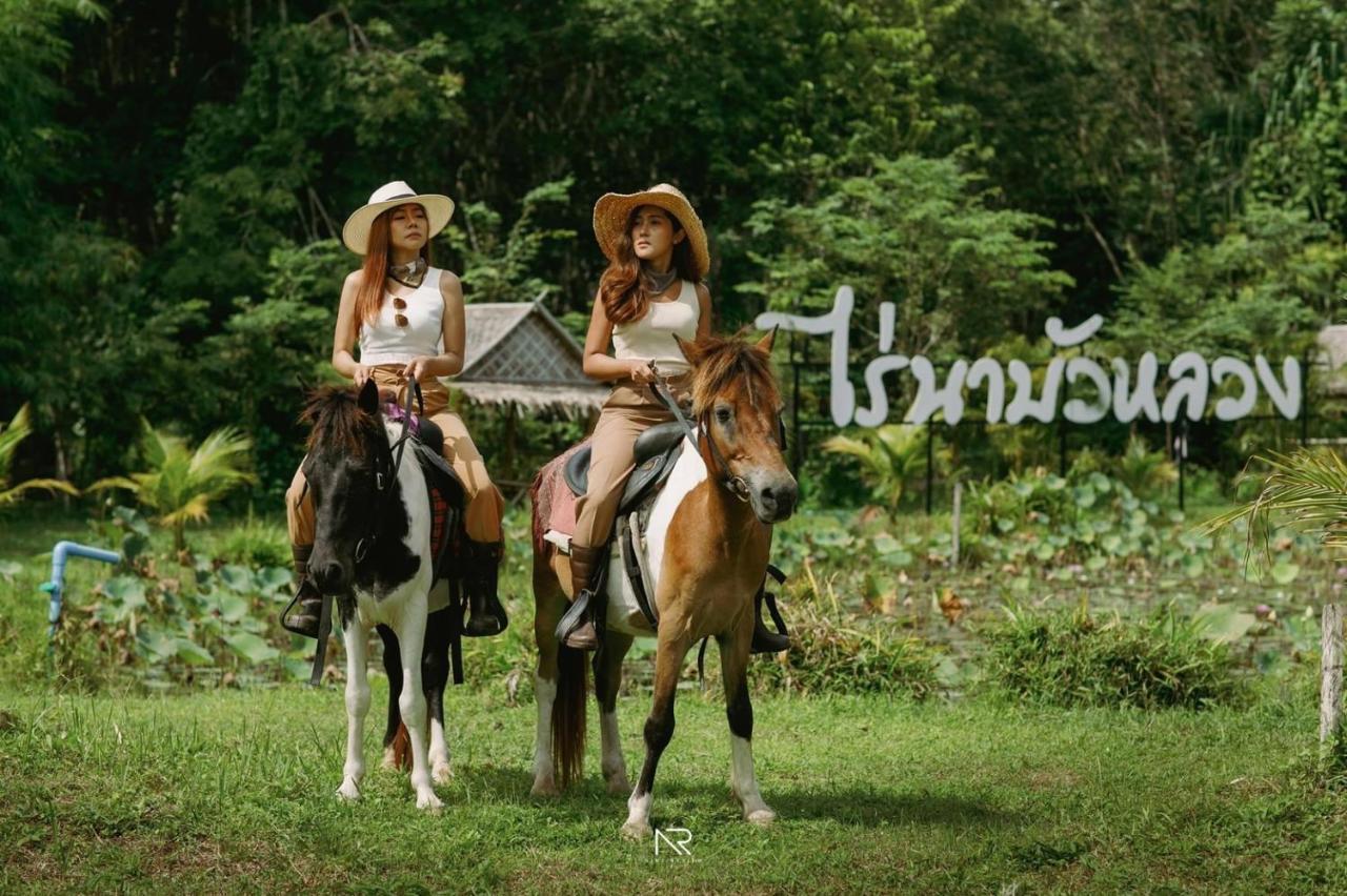 ไร่นาบัวหลวง คาเฟ่ & ฟาร์มสเตย์ Raina Bualuang Cafe & Farm Stay Ban Na No Ngoại thất bức ảnh