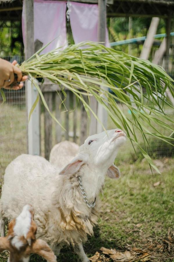 ไร่นาบัวหลวง คาเฟ่ & ฟาร์มสเตย์ Raina Bualuang Cafe & Farm Stay Ban Na No Ngoại thất bức ảnh