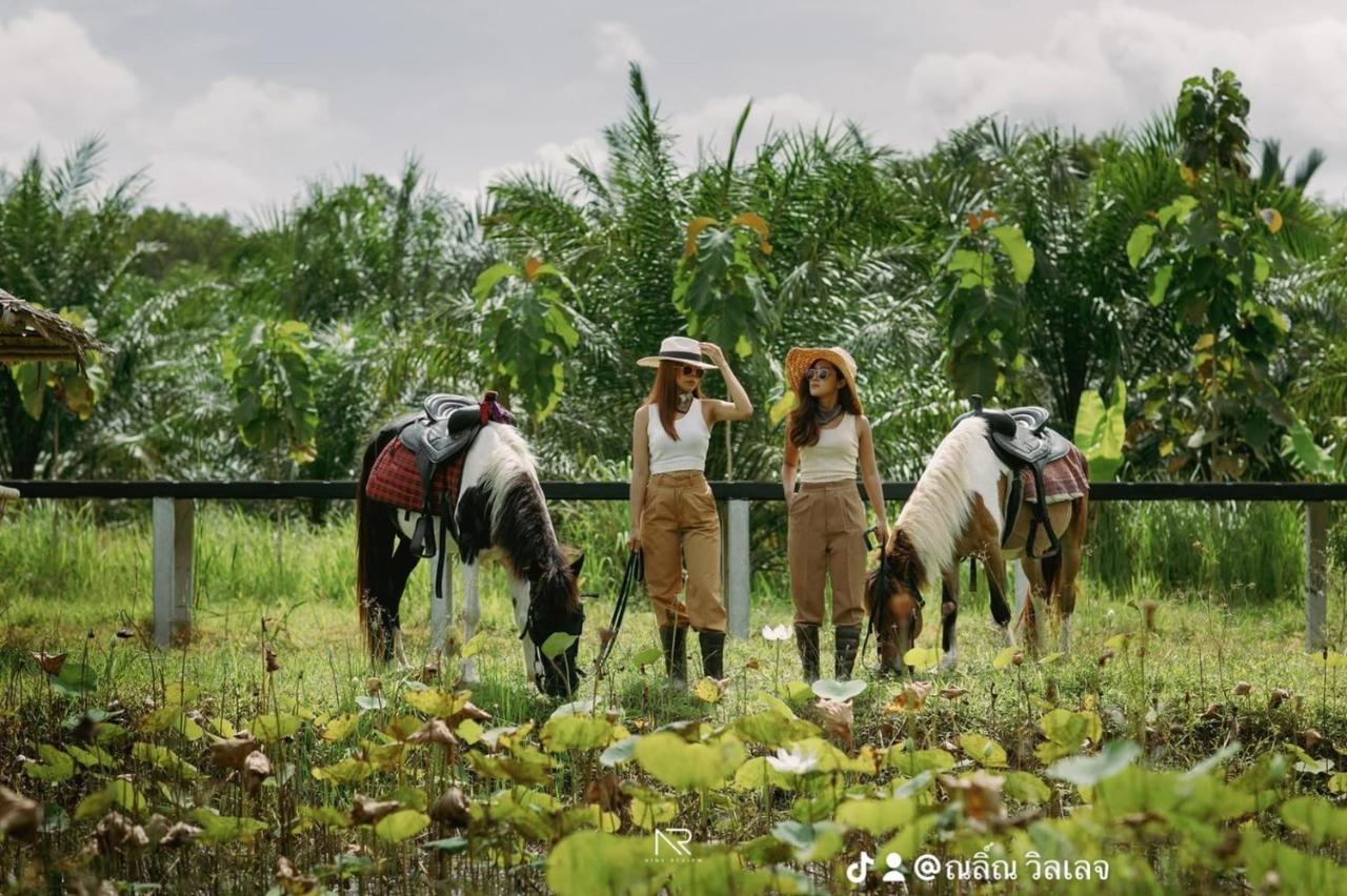 ไร่นาบัวหลวง คาเฟ่ & ฟาร์มสเตย์ Raina Bualuang Cafe & Farm Stay Ban Na No Ngoại thất bức ảnh